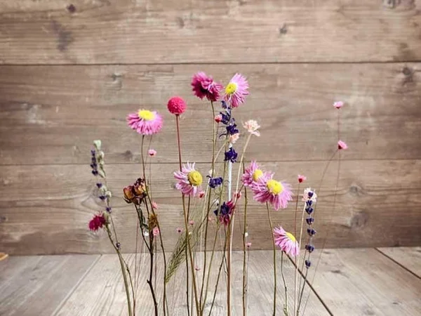 Bild 0: Bloomwies